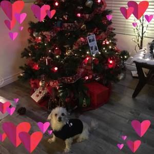 Meet your Posher, Cathyxavier